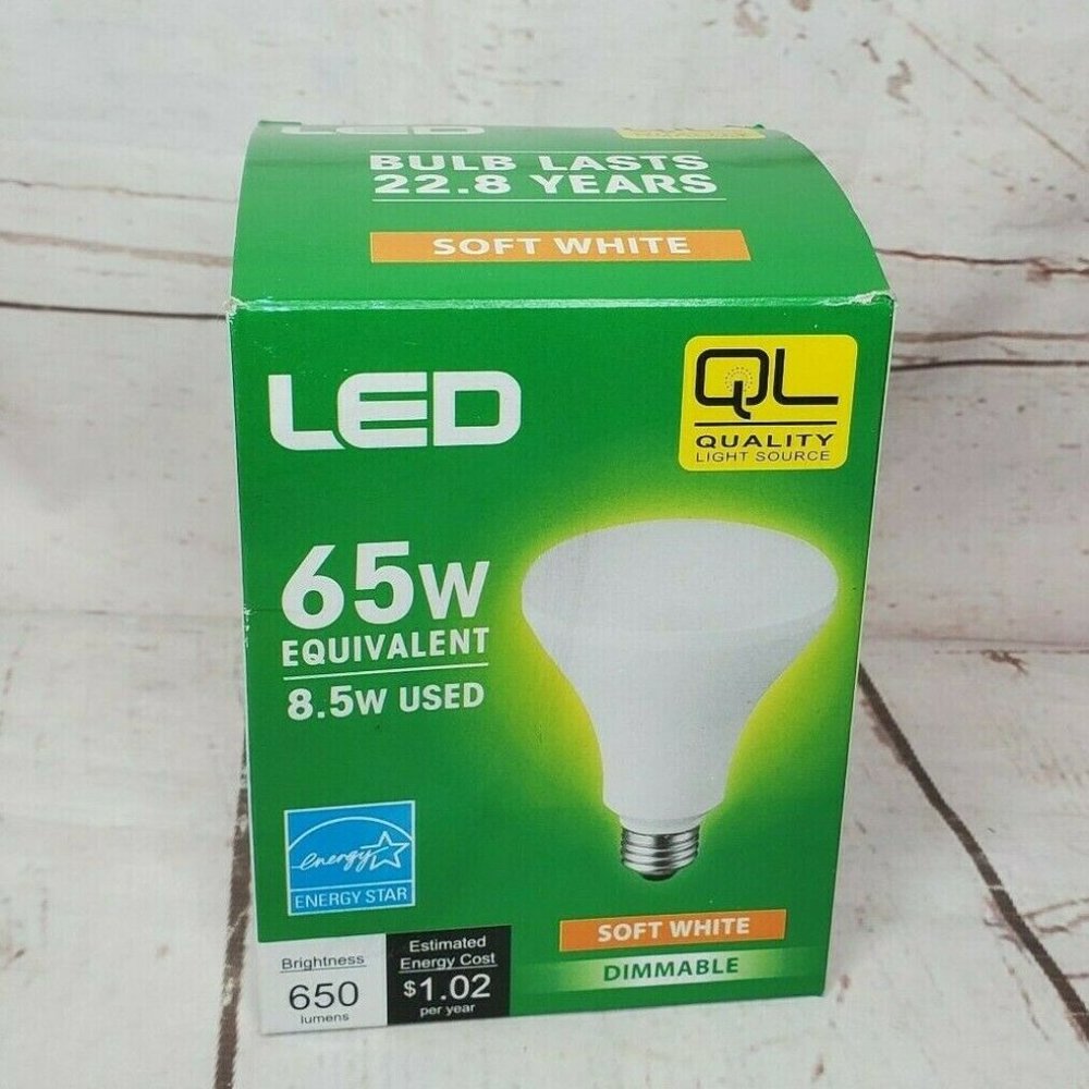 Quality Light Source LED 65 Watt Energy Star Soft White Dimmable Light Bulb